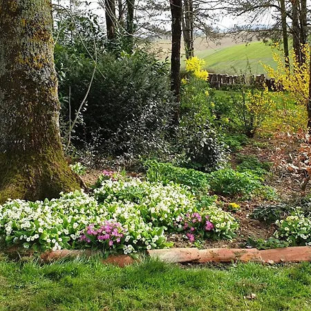 D'hote 40 M2 Tres Agreable